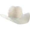 Boot Barn® Hat Protector 2 Boot Barn® Hat Protector -Boot Barn 2000213392 000 P1