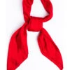 Cody James Men's Red Silk Jacquard Scarf 2 Cody James Men's Red Silk Jacquard Scarf -Boot Barn 2000296738 600 P1